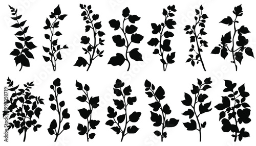 Branches and leaves rendered in sharp black silhouettes represent a diverse collection of wild flora that can be used for sophisticated botanical patterns, artistic scrapbooking, or natural.