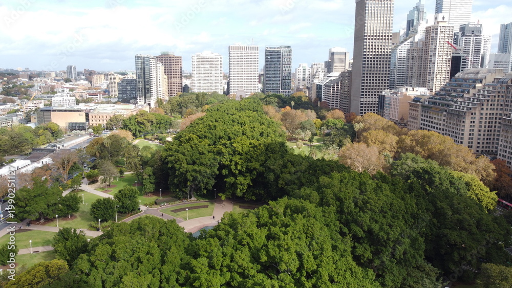 Obraz premium Central park in the middle of the city