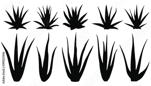 Grass blades silhouettes are arranged in two distinct rows to showcase various types of wild vegetation and desert succulents for use in landscaping, garden design, or environmental graphic projects.