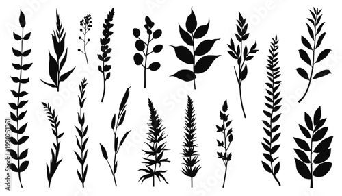 Botanical branches rendered as black silhouettes serve as an elegant graphic resource for artistic projects that require natural textures and open copy space for balanced visual compositions.