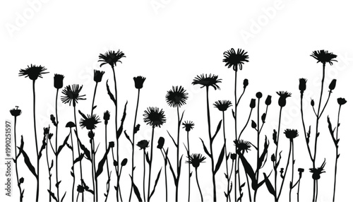 Flowers appearing as a row of dark silhouettes create a natural border that offers ample room for text placement in various digital and print media applications requiring a clean organic frame.