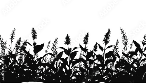 Grass silhouettes stretch across the bottom of the frame creating a dense and textured natural border that offers ample negative space above for custom text placement in various design compositions.