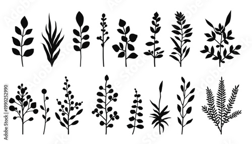 Leaves arranged in a collection of silhouettes showcase various botanical shapes to serve as versatile assets for creative graphic design layouts that need high contrast and clean visual elements.