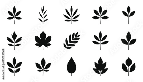 Leaves of different species are presented as a grid of distinct black silhouettes, forming a comprehensive botanical icon set suitable for educational materials or natural themed design projects.