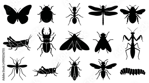 Black  White Silhouette Icons of Various Insects