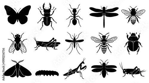Black  White Vector Icons of Various Insects, Microstock Asset