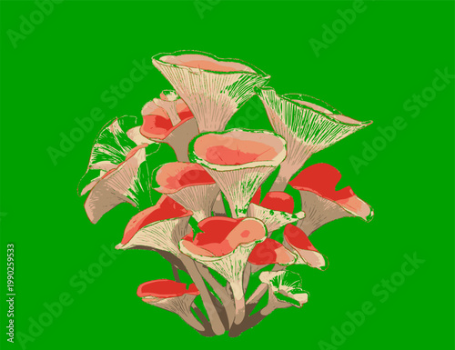 vector illustration of parasitic plants, moss, fungi, and umbrellas