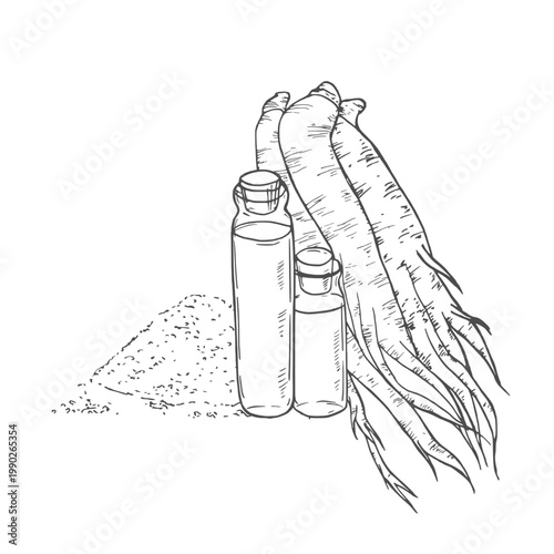 Set panax ginseng. Glass bottle of tincture. Vector engraving vintage illustration for traditional medicine. Isolated on white background
