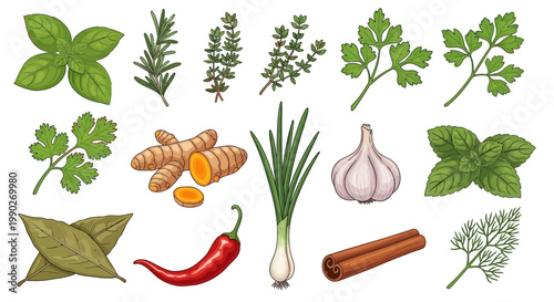 Vibrant Hand-Drawn Collection of Culinary Herbs, Spices, and Aromatic Ingredients for Cooking and Flavor Enhancement
