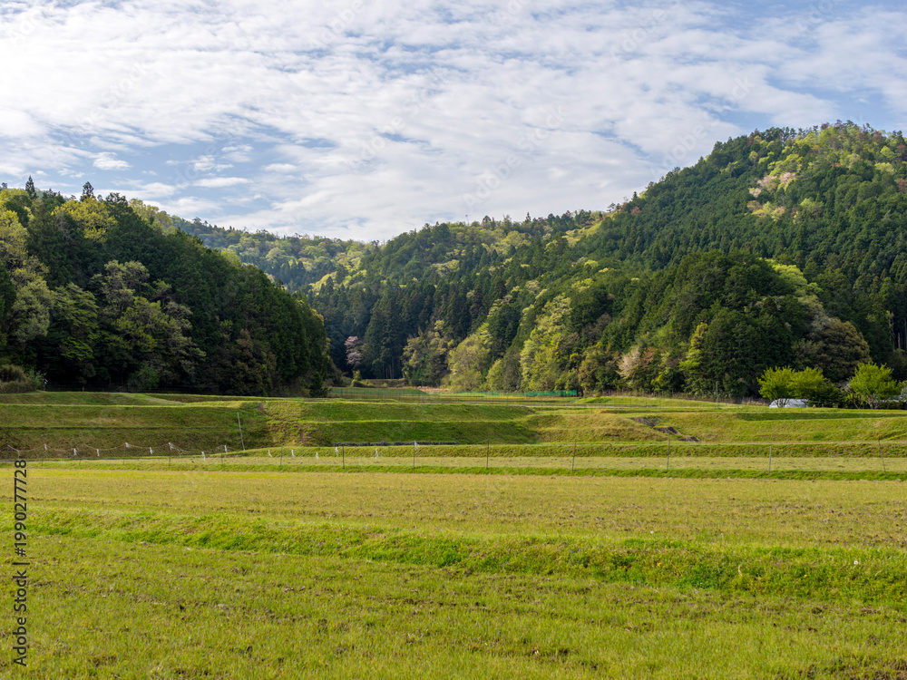 Fototapeta premium 京都府南丹市に広がる棚田の風景