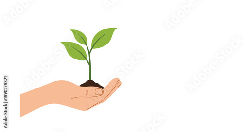 Human hand gently cradling a young green sprout in fertile soil against a white background symbolizing growth and ecology.