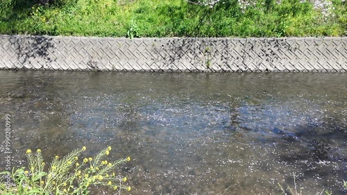 Handheld Camera Video of River Water Flow