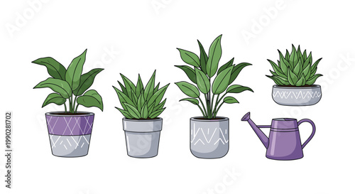 Set of various indoor potted house plants and a purple watering can isolated on a clean white background in vector format.