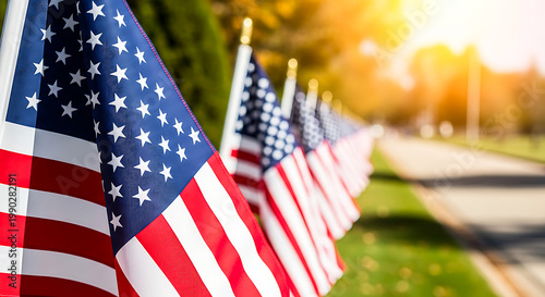 american flags lined up on a grassy area