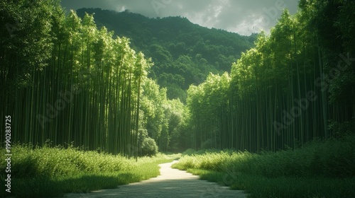 Lush Green Forest Path Bathed In Golden Sunlight With Rolling Hills Background