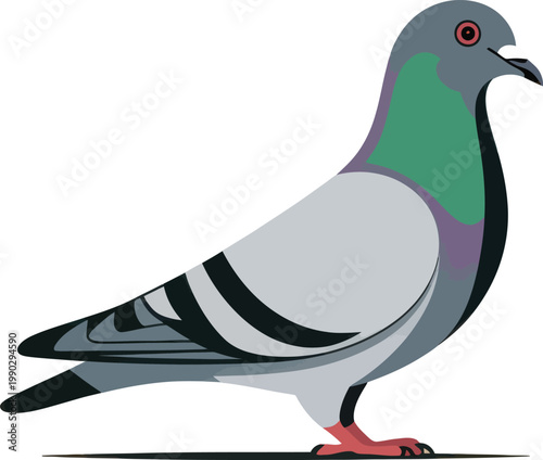 Urban Pigeon Standing Profile During Daytime Flat Design Vector Illustration