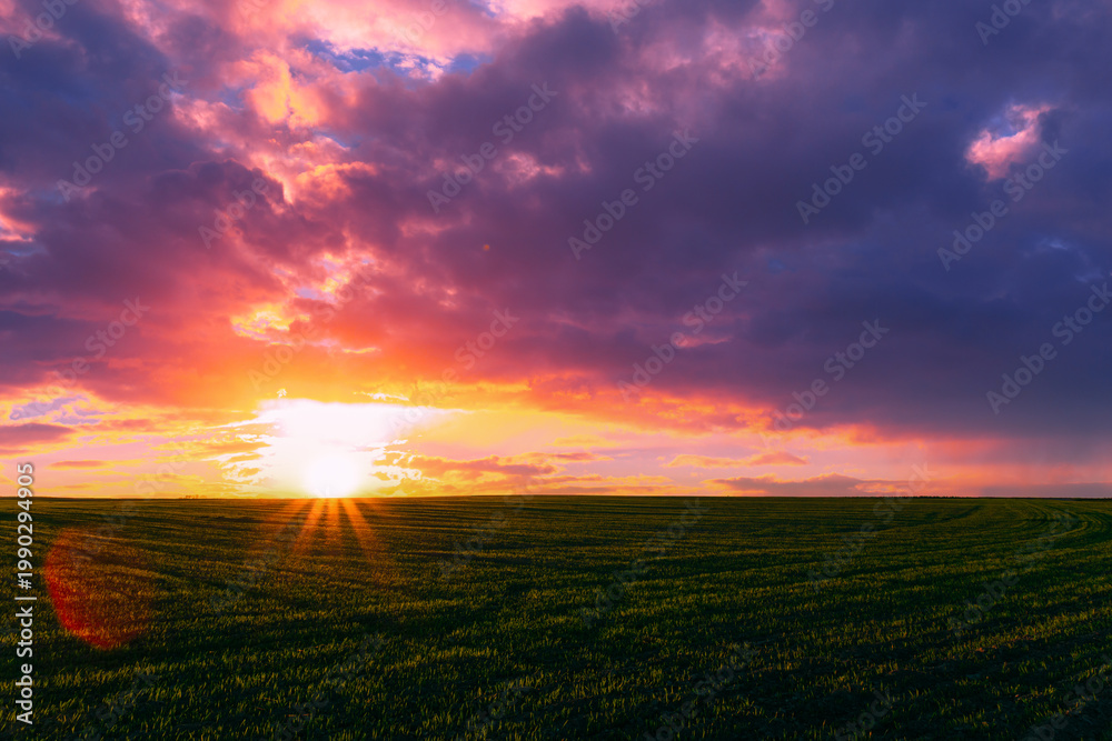 Fototapeta premium Dramatic colorful sunset over a green agricultural field