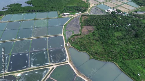 Aerial view of large aquaculture farm for shrimp or fish production with water aerators, tilt view 4k