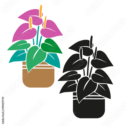 Houseplant Anthurium Illustration Plant in a pot, set with colorful and black silhouette styles, modern tropical indoor plant stylized vector illustration isolated on white background