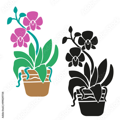 Phalaenopsis Orchid houseplant in pot, set with colorful and black silhouette styles, modern tropical indoor plant stylized vector illustration isolated on white background