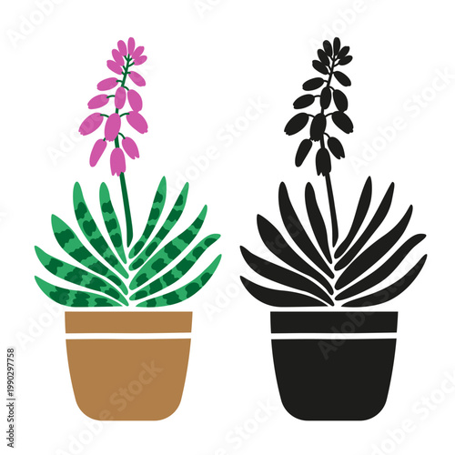 Gasteria houseplant in pot, set with colorful and black silhouette styles, modern tropical indoor plant stylized vector illustration isolated on white background