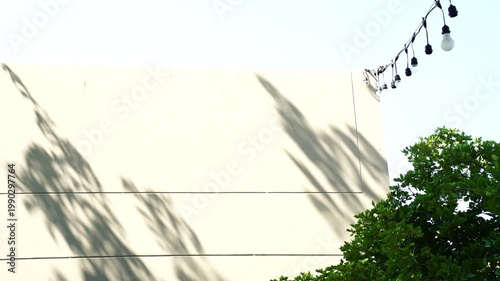 Minimalist shot of green leaves and delicate shadows cast on a white wall against a clear light blue sky. Clean aesthetic background with ample copy space for summer or nature themes.
