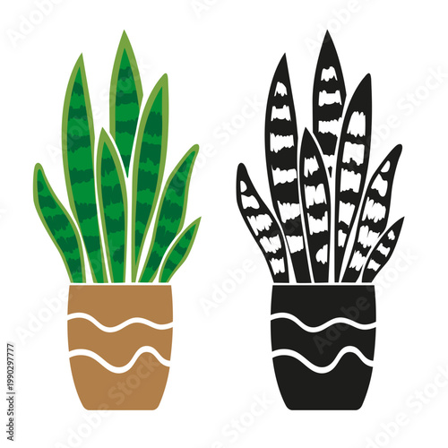 Sansevieria houseplant Potted, Snake Plant Illustration in pot, set with colorful and black silhouette styles, modern tropical indoor plant stylized vector illustration isolated on white background