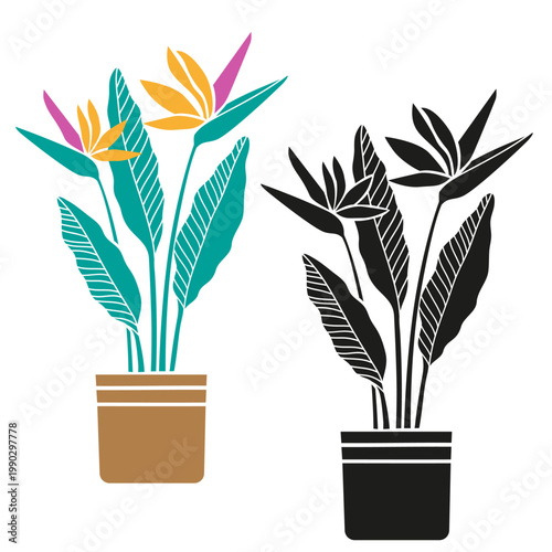 Houseplant Bird of Paradise Flower Strelitzia houseplant in pot, set with colorful and black silhouette styles, modern tropical indoor plant stylized vector illustration isolated on white background
