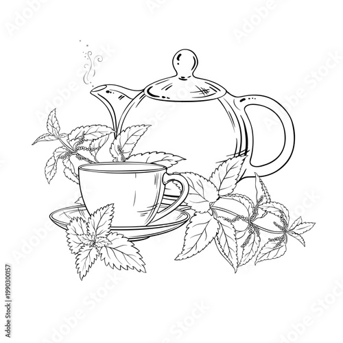 Nettle Tea in Teapot aroma beverage Outline Illustration. Vector isolated for Design and Decoration for Cafeteria, Posters, Banners, Cards.