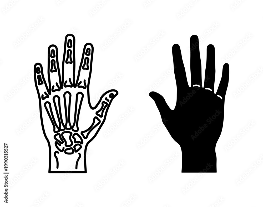 Obraz premium Human Hand Bone Structure and Silhouette Vector Set