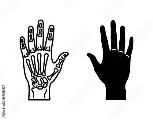 Human Hand Bone Structure and Silhouette Vector Set