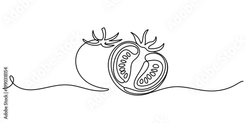 Minimalist one line drawing of a halved fresh tomato isolated on a simple plain white background Vector, illustration