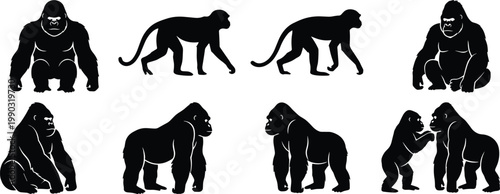 Primate silhouettes collection, gorillas and monkeys poses vector illustration, wildlife animal artwork design graphic - black and white flat vector illustration