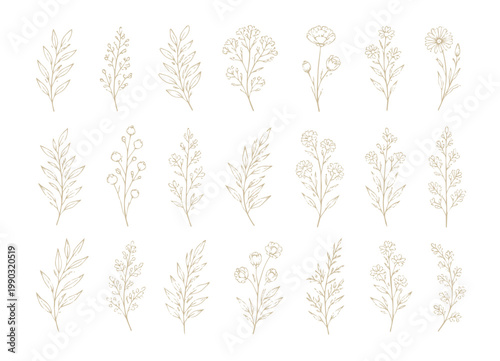 Obraz na plátně Set of delicate botanical illustrations featuring various leaves and flowers