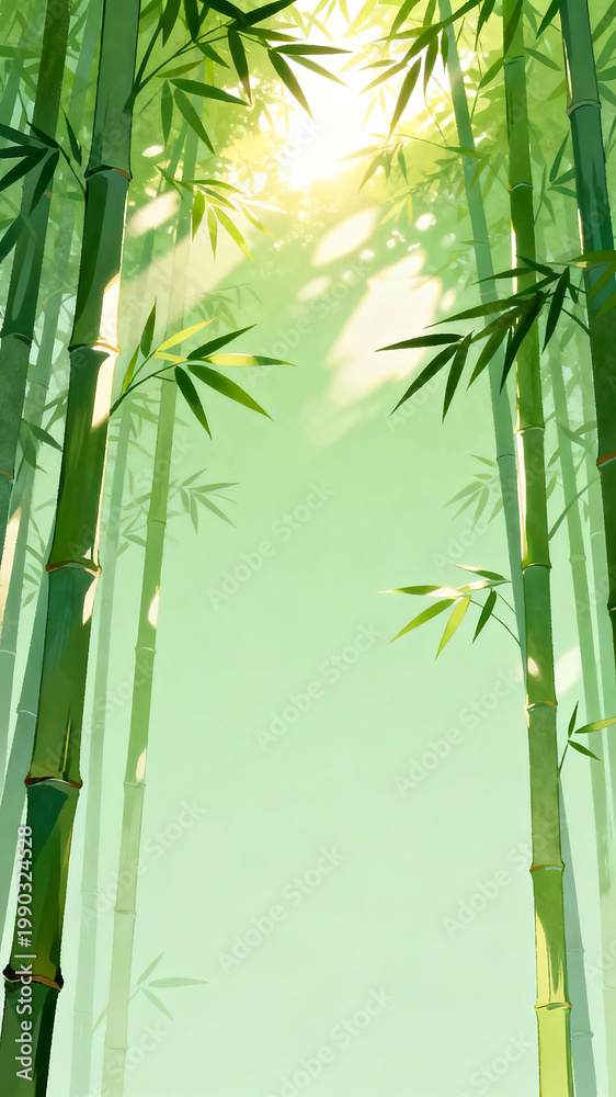 Obraz premium Bamboo forest with sunlight