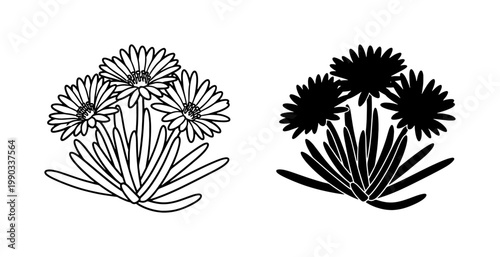 Daisy flower line art and black silhouette vector set