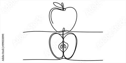 A continuous line drawing depicting a whole apple stacked above a halved apple on a white background Vector, illustration