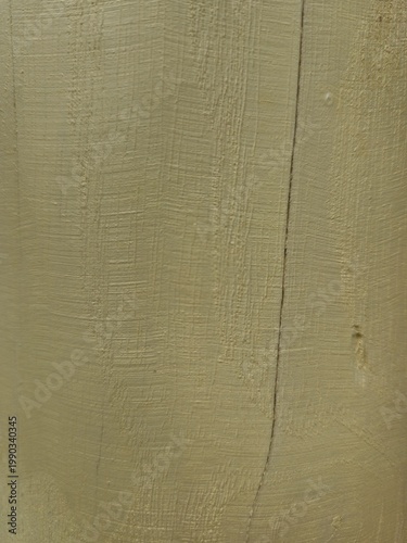 Muted Olive Wall Texture Background Surface