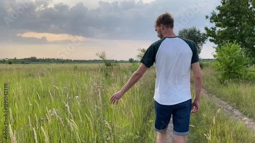 Rear view of young man in casual clothes walking along dirt path through lush green meadow during sunset, gently touching tops of high wild grass with hand, enjoying nature and freedom.