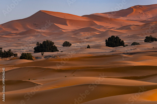 Sahara Wüste bei Sonnenaufgang, Merzouga, Marokko 