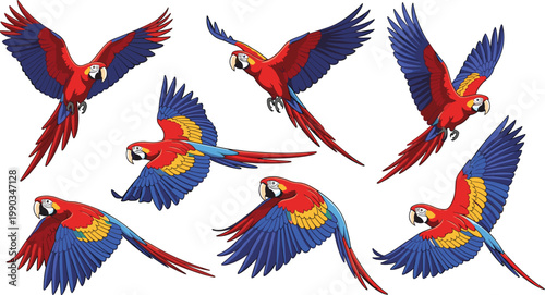 Flying Parrot Illustration Set with Colorful Macaw Birds in Dynamic Wing Poses for Wildlife Design, Tropical Nature Graphics, Animation, and Creative Projects.