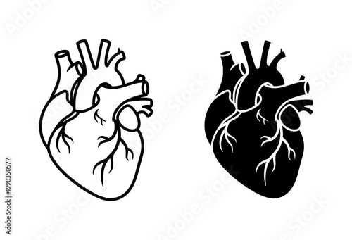 Human Anatomical Heart Vector Icon Set
