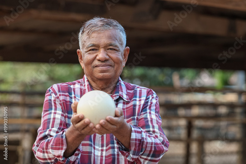 Elderly farmer proudly displays a significant ostrich egg symbolizing sustainable agriculture and the bounty of nature.