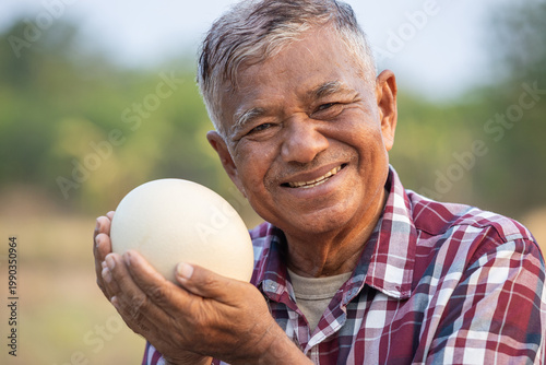 Elderly farmer proudly displays a significant ostrich egg symbolizing sustainable agriculture and the bounty of nature.