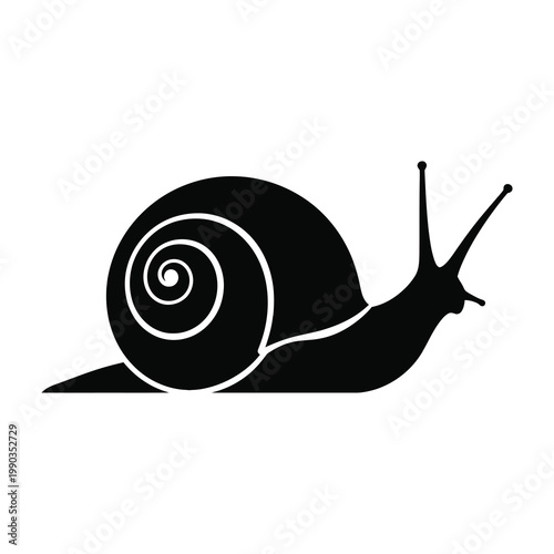 Black Snail Silhouette Isolated on White Background