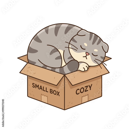 A gray tabby cat sleeps cozily in a small cardboard box indoors.