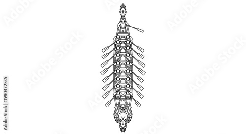 Top view of a competitive rowing shell boat with oars extended.