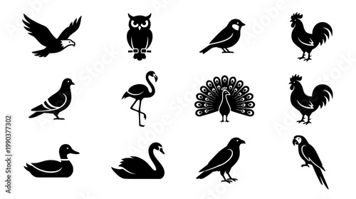 collection of black bird silhouettes flat design vector illustration