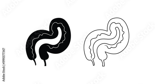 A detailed illustration depicts the human intestines showcasing both a solid black and a white outline version