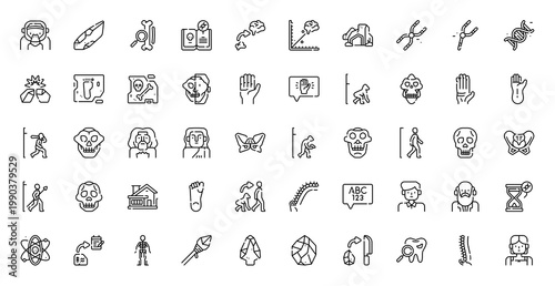 Human Evolution Darwin Icon